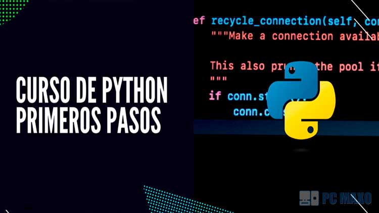 Curso Programación para Principiantes: Python Primeros Pasos udemy