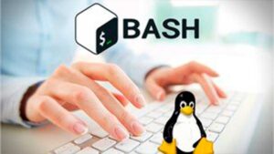 Bash - Intérprete de Comandos de Linux. Aprende desde cero