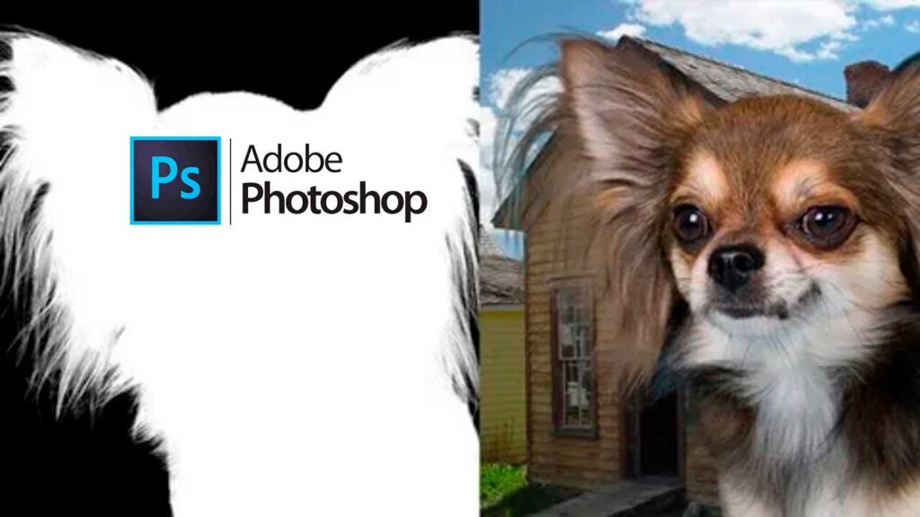 Curso Fotomontajes con Photoshop